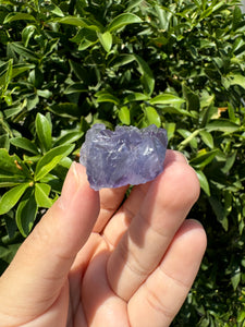 Mini Purple Cubic Fluorite Cluster,Mineral Specimen