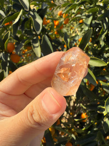 Red Mud Skeletal Quartz Crystal Point ,Red Mud Quartz ,#981