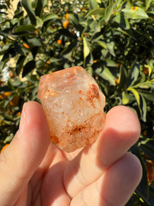 Red Mud Skeletal Quartz Point ,Red Mud Quartz ,#993