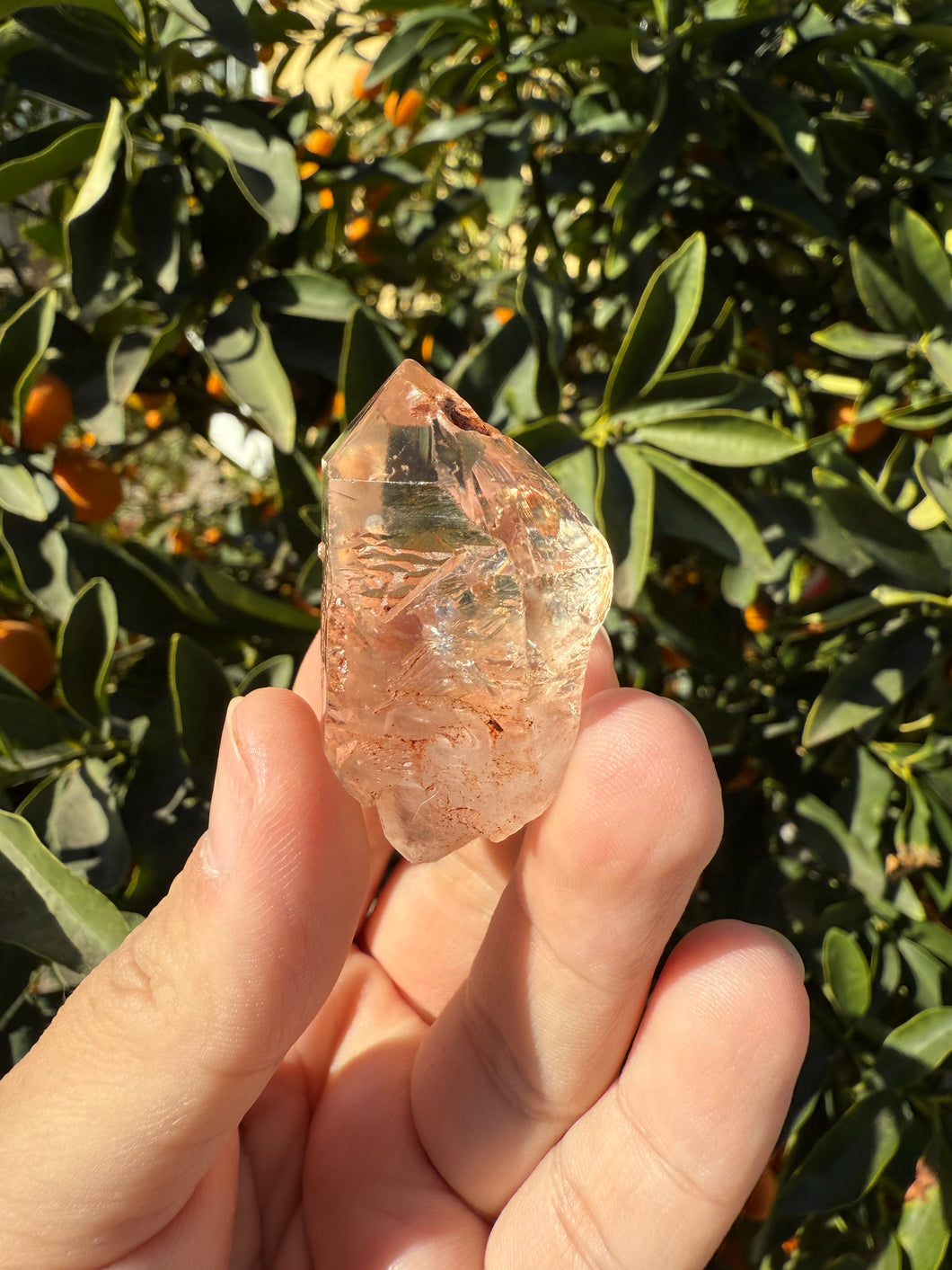 Red Mud Skeletal Quartz Crystal Point ,Red Mud Quartz ,#997