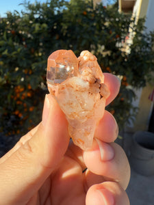 Red Mud Skeletal Quartz Crystal Point ,Red Mud Quartz,#973