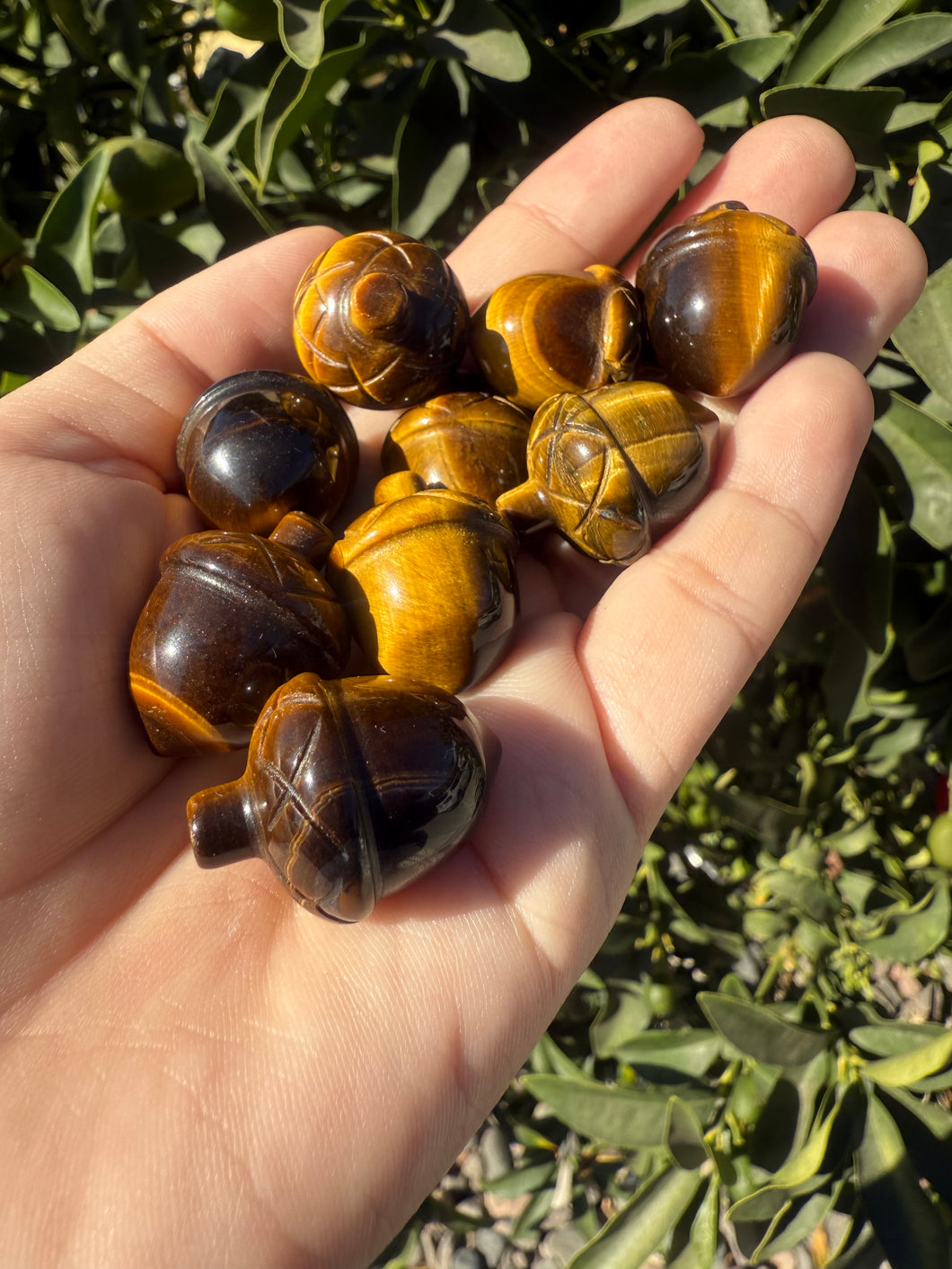 1pc Small Natural Tiger Eye Acorn Pendant Charms