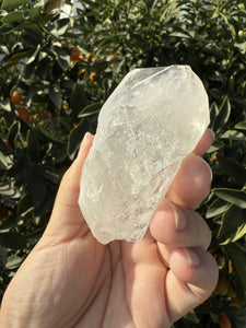 Himalayan Tabular Crystal Record-keeper Quartz Crystal from Pakistan