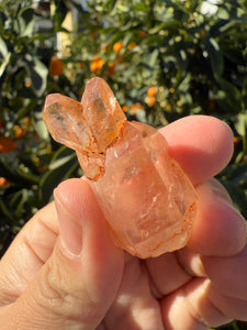 Red Mud Skeletal Quartz Crystal Point ,Red Mud Quartz ,#984