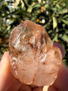 Red Mud Skeletal Quartz Crystal Point ,Red Mud Quartz ,#995