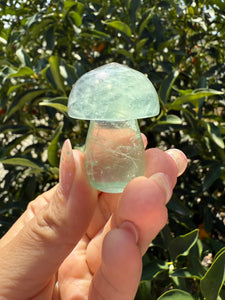 Small Green Fluorite Mushroom Carving-Fluorite Gemstone Mushroom,A140