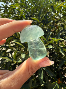 Small Green Fluorite Mushroom Carving-Fluorite Gemstone Mushroom,A140