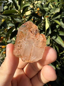 Red Mud Skeletal Quartz Crystal Point ,Red Mud Quartz ,#995