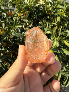 Red Mud Skeletal Quartz Crystal Point ,Petroleum Oil Quartz #02