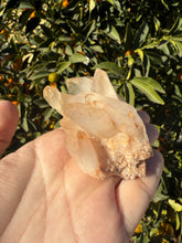 Load image into Gallery viewer, On Sale!Raw Clear Quartz Cluster,141.3g
