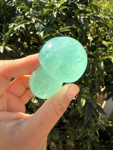 Large Green Fluorite Mushroom Carving