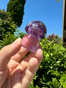 Resin small cute Amethyst mushroom