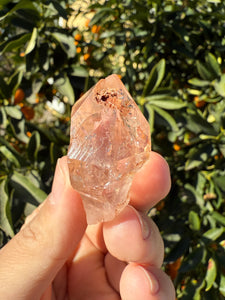 Red Mud Skeletal Quartz Crystal Point ,Red Mud Quartz ,#997