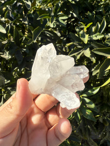 Clear Quartz Crystal Cluster