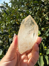 Load image into Gallery viewer, Raw Himalayan Quartz Crystal Point Pakistan Specimen Healing Reiki Decor A256
