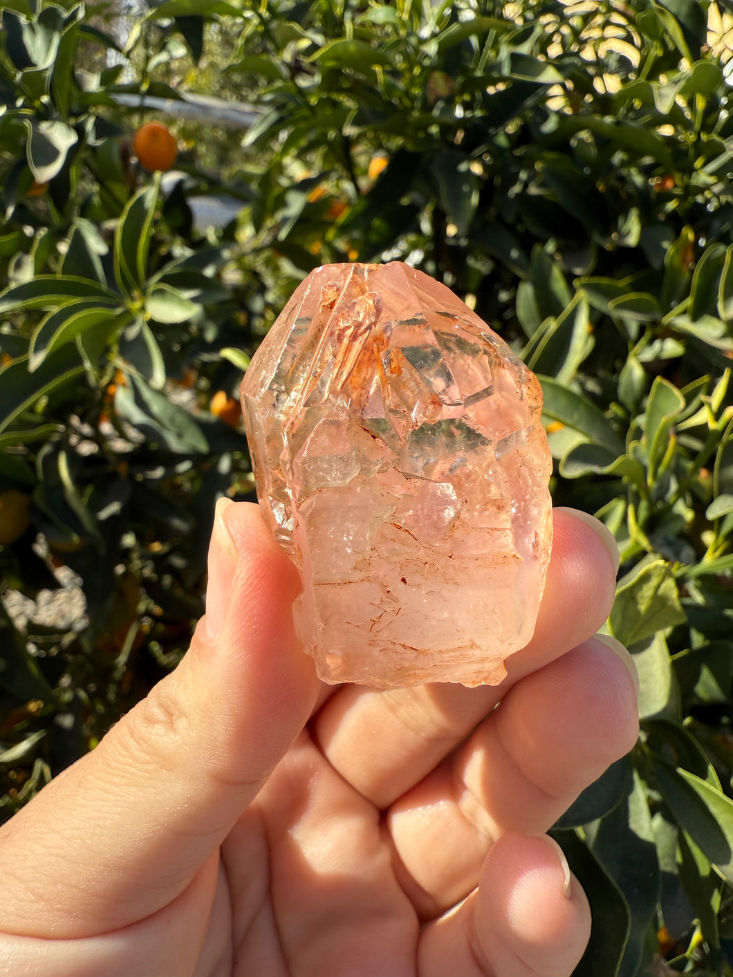 Red Mud Skeletal Quartz Crystal Point ,Petroleum Oil Quartz #03