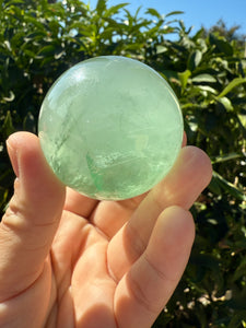 Green Fluorite Crystal Sphere with Unique Crystal Cavities Mineral Inclusions