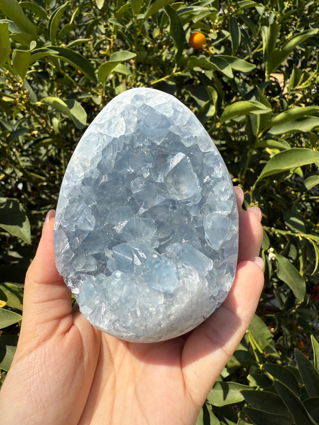Celestite Geode Egg – Raw Celestine for Calming Energy,A57