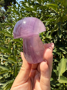 Large Natural Purple Fluorite Mushroom Crystal | Fluorite Mushroom Sculpture
