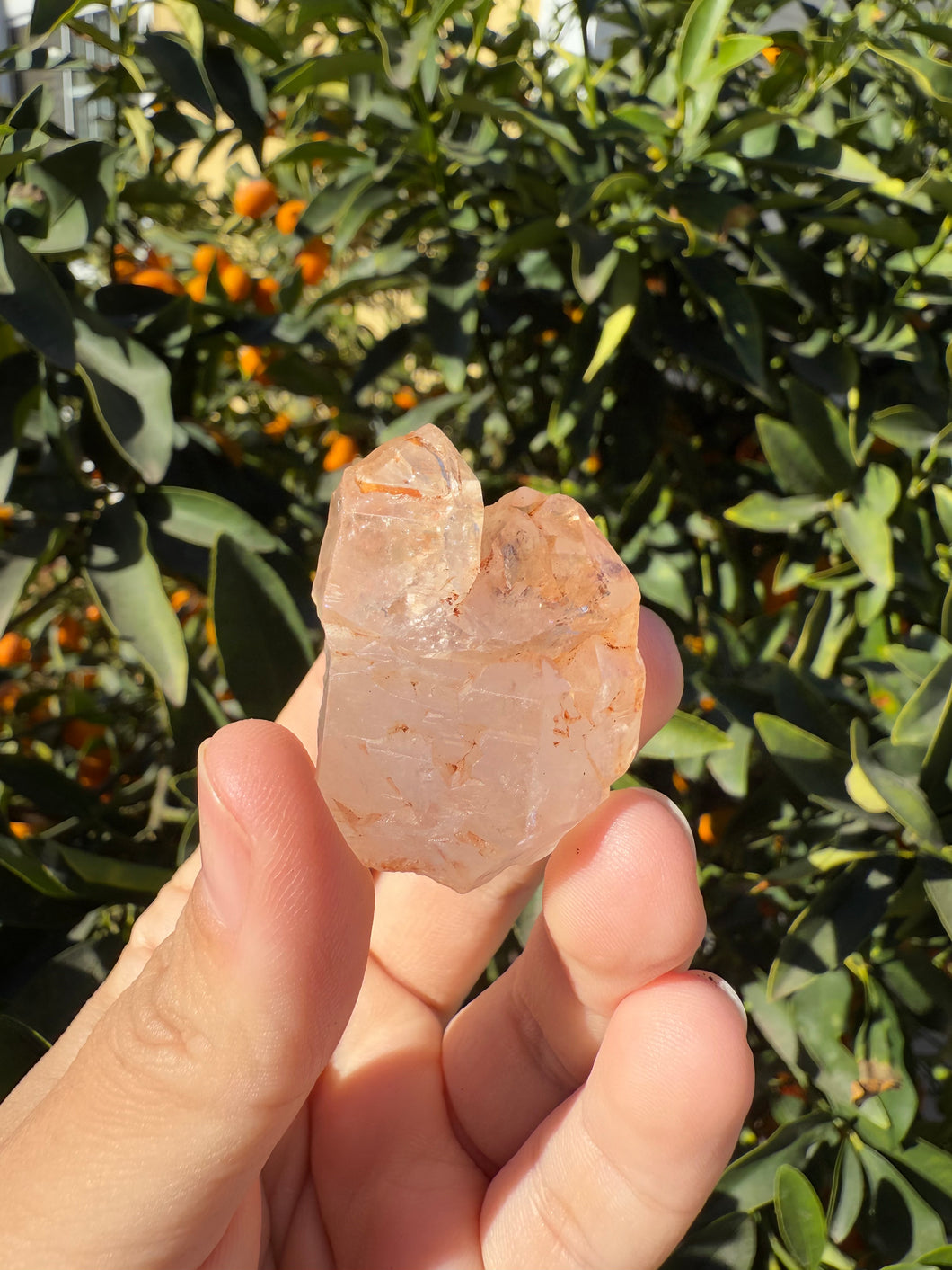 Red Mud Skeletal Quartz Crystal Point ,Red Mud Quartz,#990