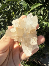 Load image into Gallery viewer, Small Raw Clear Quartz Cluster,98.2g
