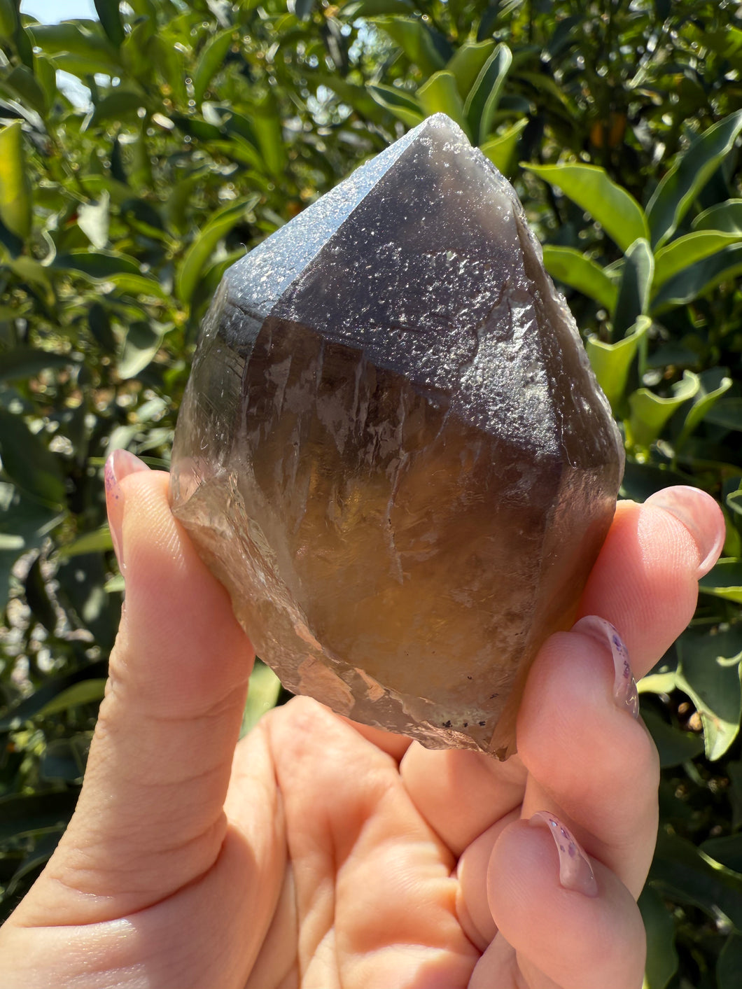 Natural Smoky Quartz Point | Raw Crystal Wand | Healing Stone,A59