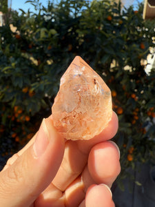 Red Mud Skeletal Quartz Crystal Point ,Red Mud Quartz,#974