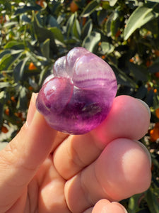 Large Purple Fluorite Paw