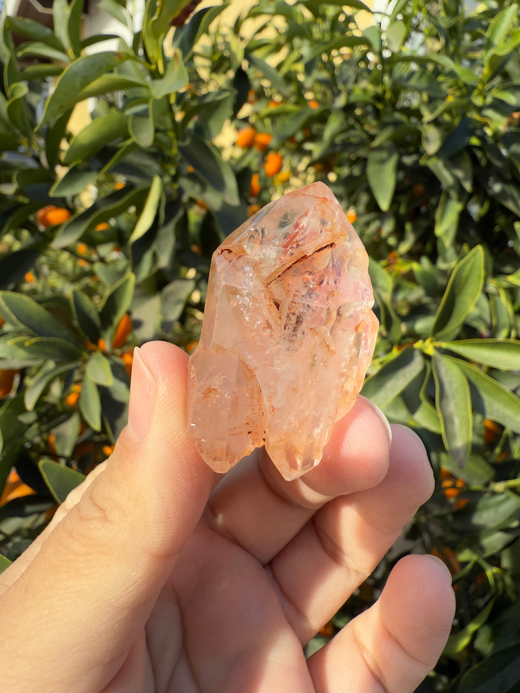 Red Mud Skeletal Quartz Crystal Point ,Red Mud Quartz,#987