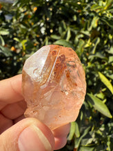 Load image into Gallery viewer, Red Mud Skeletal Quartz Crystal Point ,Petroleum Oil Quartz #03
