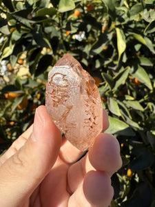 Red Mud Skeletal Quartz Crystal Point ,Red Mud Quartz ,#995