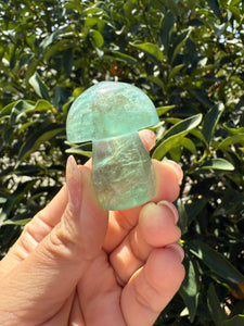 Small Green Kelp Fluorite Mushroom Carving-Fluorite Gemstone Mushroom,A139