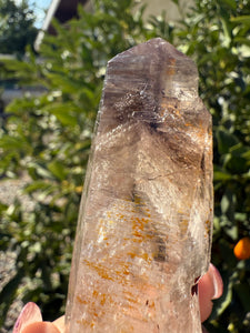 Trigonic Enhydro Quartz from Madagascar,Crystal Point with Water Inclusion,A101