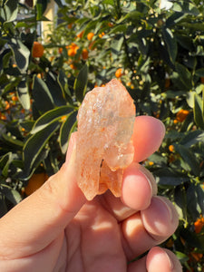 Red Mud Skeletal Quartz Crystal Point ,Red Mud Quartz ,#984