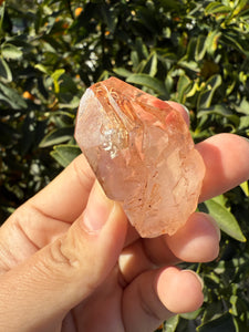 Red Mud Skeletal Quartz Crystal Point ,Petroleum Oil Quartz #03