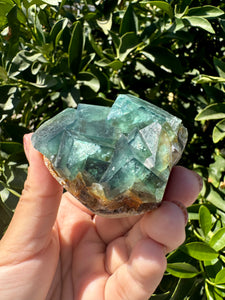 Green Cubic Fluorite Cluster, Fluorite Mineral Specimen C