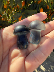 2pcs Mini Blue Fluorite Mushroom Carving