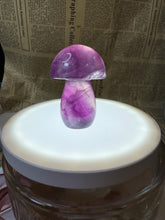 Load image into Gallery viewer, Small Fluorite Mushroom Carving-1.81in
