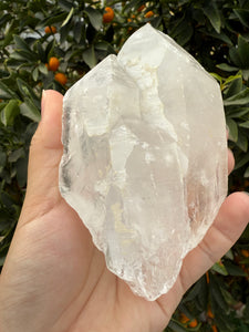 620g Himalayan Tabular Crystal Record-keeper Quartz Crystal from Pakistan