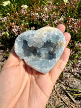 Load image into Gallery viewer, Celestite Geode Heart Blue Crystal Cluster Natural Raw Specimen Healing,A463
