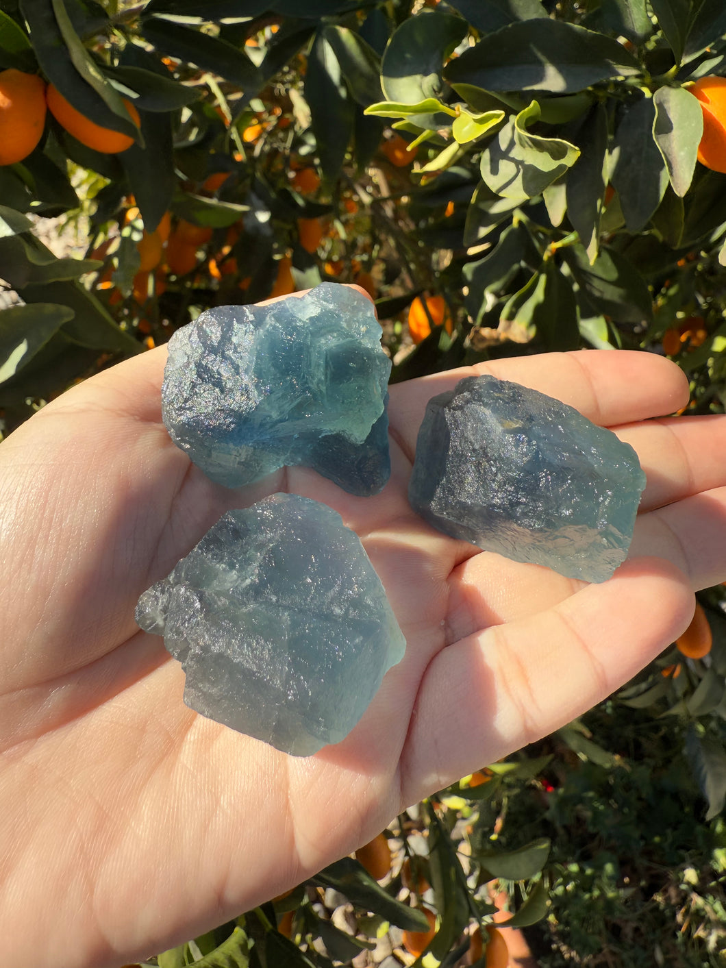 3pcs Fluorite Crystal Rough Bulk,High Quality Blue Fluorite-B