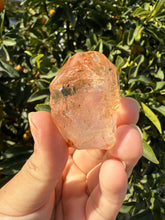 Load image into Gallery viewer, Red Mud Skeletal Quartz Crystal Point ,Petroleum Oil Quartz #03
