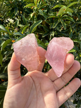 Load image into Gallery viewer, 2pcs Natural Rose Quartz with Unique Tree
