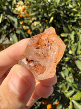 Load image into Gallery viewer, Red Mud Skeletal Quartz Crystal Point ,Red Mud Quartz,#991
