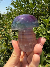 Load image into Gallery viewer, Large Natural Purple Green Fluorite Mushroom Crystal Fluorite Mushroom Sculpture
