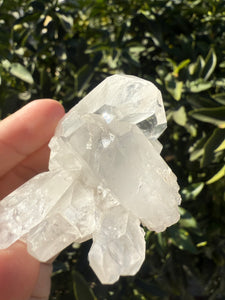 Clear Quartz Crystal Cluster