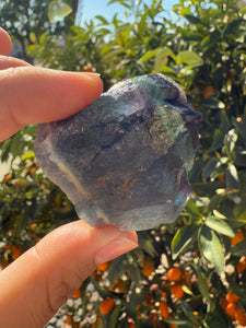 Raw Blue Fluorite Stone,98g