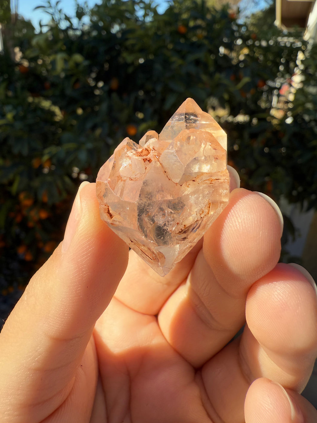 Red Mud Skeletal Quartz Crystal Point ,Red Mud Quartz ,#977