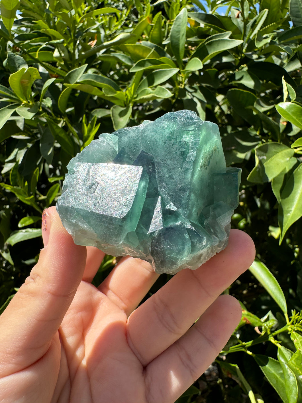 Green Cubic Fluorite fluorite cluster, fluorite Mineral Specimen D