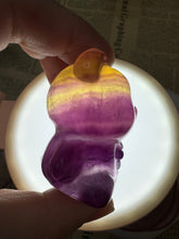 Load image into Gallery viewer, Natural purple yellow Candy Fluorite Bear Carving
